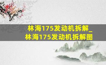 林海175发动机拆解_林海175发动机拆解图