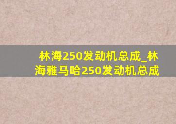 林海250发动机总成_林海雅马哈250发动机总成