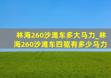 林海260沙滩车多大马力_林海260沙滩车四驱有多少马力