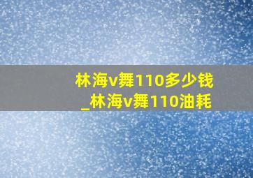 林海v舞110多少钱_林海v舞110油耗