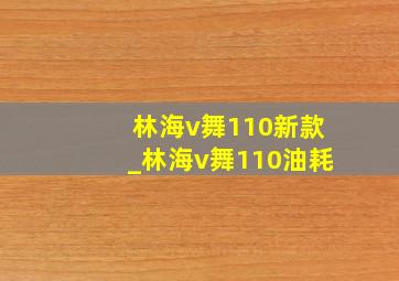 林海v舞110新款_林海v舞110油耗