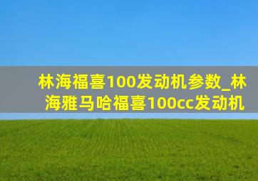 林海福喜100发动机参数_林海雅马哈福喜100cc发动机