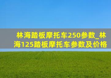 林海踏板摩托车250参数_林海125踏板摩托车参数及价格