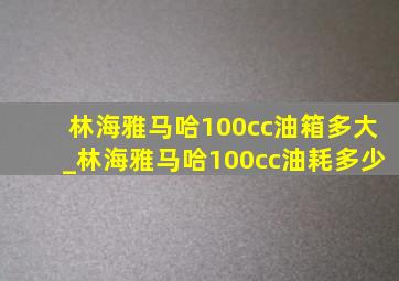 林海雅马哈100cc油箱多大_林海雅马哈100cc油耗多少