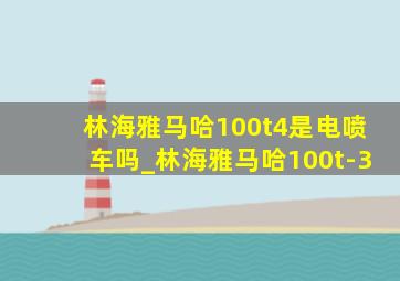 林海雅马哈100t4是电喷车吗_林海雅马哈100t-3