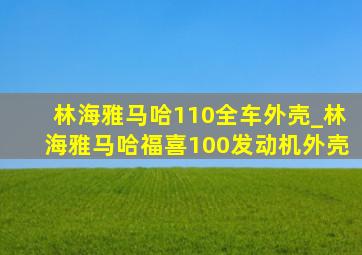 林海雅马哈110全车外壳_林海雅马哈福喜100发动机外壳