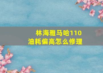 林海雅马哈110油耗偏高怎么修理