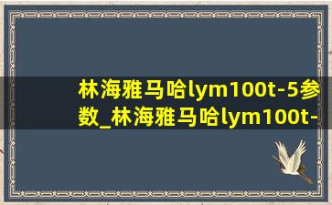 林海雅马哈lym100t-5参数_林海雅马哈lym100t-1