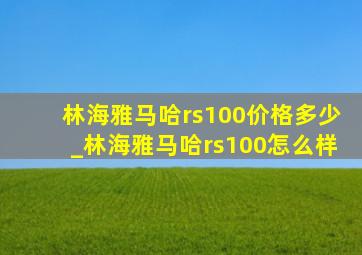 林海雅马哈rs100价格多少_林海雅马哈rs100怎么样