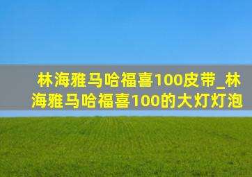 林海雅马哈福喜100皮带_林海雅马哈福喜100的大灯灯泡