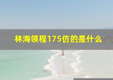 林海领程175仿的是什么