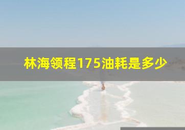 林海领程175油耗是多少