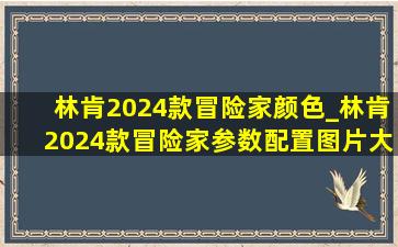 林肯2024款冒险家颜色_林肯2024款冒险家参数配置图片大全及价格表