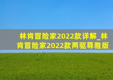 林肯冒险家2022款详解_林肯冒险家2022款两驱尊雅版