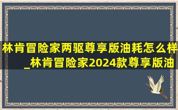 林肯冒险家两驱尊享版油耗怎么样_林肯冒险家2024款尊享版油耗