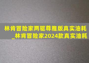 林肯冒险家两驱尊雅版真实油耗_林肯冒险家2024款真实油耗