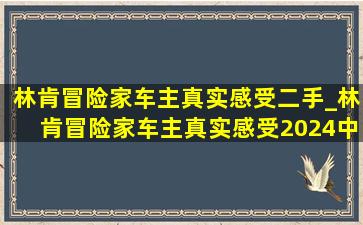 林肯冒险家车主真实感受二手_林肯冒险家车主真实感受2024中配