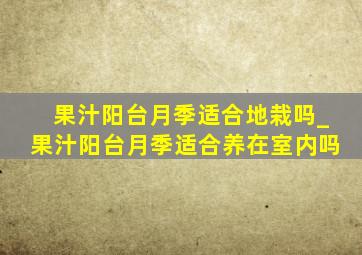 果汁阳台月季适合地栽吗_果汁阳台月季适合养在室内吗