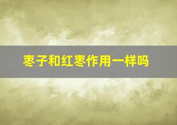 枣子和红枣作用一样吗