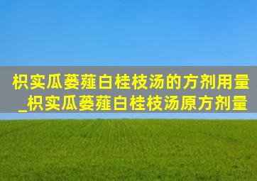 枳实瓜蒌薤白桂枝汤的方剂用量_枳实瓜蒌薤白桂枝汤原方剂量