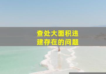 查处大面积违建存在的问题