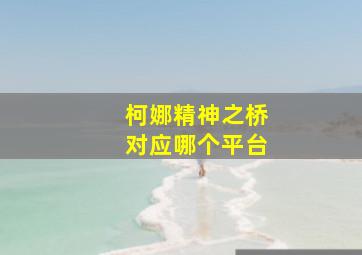 柯娜精神之桥对应哪个平台