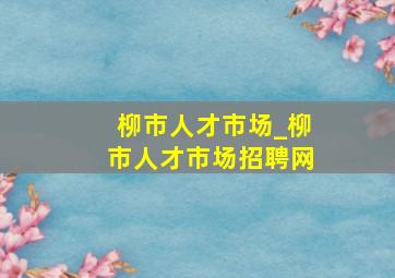 柳市人才市场_柳市人才市场招聘网