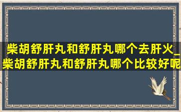 柴胡舒肝丸和舒肝丸哪个去肝火_柴胡舒肝丸和舒肝丸哪个比较好呢