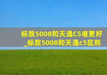 标致5008和天逸C5谁更好_标致5008和天逸c5区别