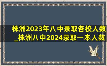 株洲2023年八中录取各校人数_株洲八中2024录取一本人数