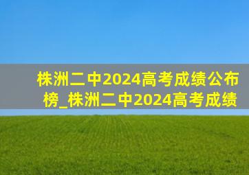 株洲二中2024高考成绩公布榜_株洲二中2024高考成绩