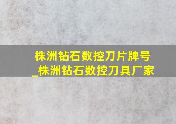 株洲钻石数控刀片牌号_株洲钻石数控刀具厂家