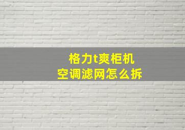 格力t爽柜机空调滤网怎么拆