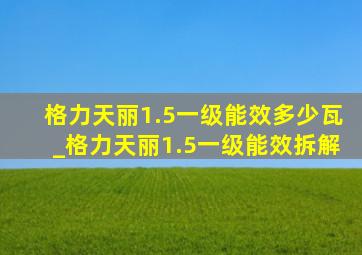 格力天丽1.5一级能效多少瓦_格力天丽1.5一级能效拆解