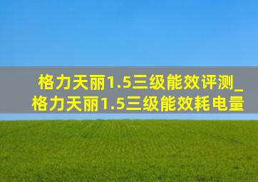 格力天丽1.5三级能效评测_格力天丽1.5三级能效耗电量