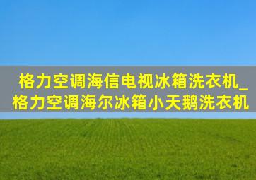 格力空调海信电视冰箱洗衣机_格力空调海尔冰箱小天鹅洗衣机