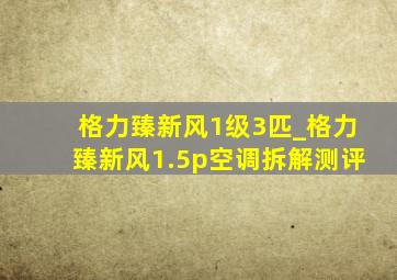 格力臻新风1级3匹_格力臻新风1.5p空调拆解测评