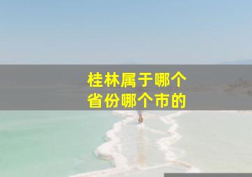 桂林属于哪个省份哪个市的