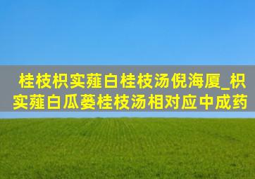 桂枝枳实薤白桂枝汤倪海厦_枳实薤白瓜蒌桂枝汤相对应中成药