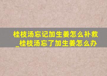 桂枝汤忘记加生姜怎么补救_桂枝汤忘了加生姜怎么办