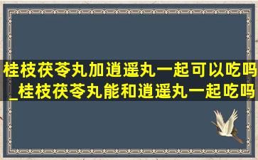 桂枝茯苓丸加逍遥丸一起可以吃吗_桂枝茯苓丸能和逍遥丸一起吃吗