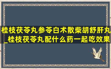 桂枝茯苓丸参苓白术散柴胡舒肝丸_桂枝茯苓丸配什么药一起吃效果好