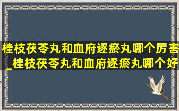 桂枝茯苓丸和血府逐瘀丸哪个厉害_桂枝茯苓丸和血府逐瘀丸哪个好