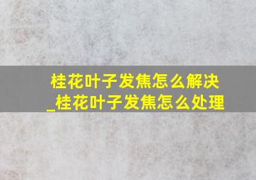 桂花叶子发焦怎么解决_桂花叶子发焦怎么处理