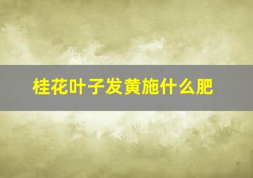 桂花叶子发黄施什么肥