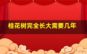 桂花树完全长大需要几年