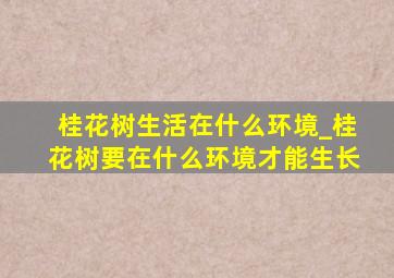 桂花树生活在什么环境_桂花树要在什么环境才能生长