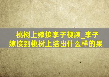 桃树上嫁接李子视频_李子嫁接到桃树上结出什么样的果