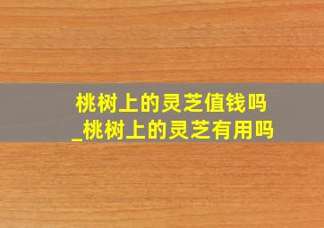 桃树上的灵芝值钱吗_桃树上的灵芝有用吗