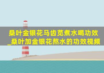 桑叶金银花马齿苋煮水喝功效_桑叶加金银花熬水的功效视频